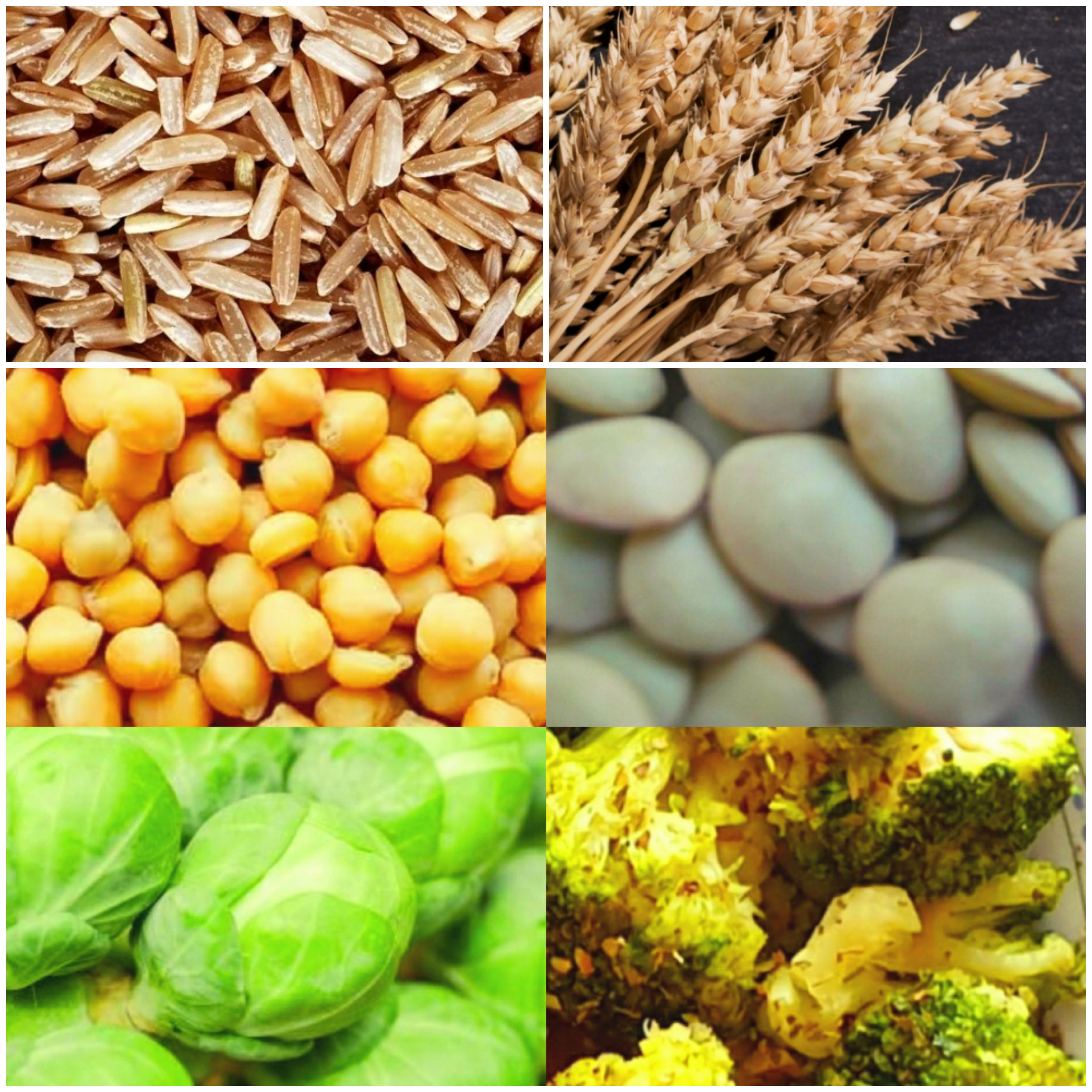 What does insoluble fibre do for you?